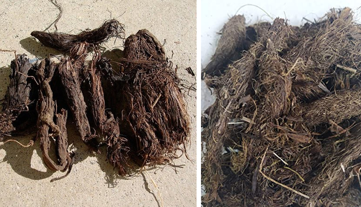 ayurvedic herbs for sound sleep,herbs for peaceful sleep in ayurveda,natural remedies for restful sleep,sleep-inducing ayurvedic herbs,ashwagandha for sleep,brahmi for deep sleep,jatamansi for relaxation,tulsi for calm sleep,ayurvedic sleep aids,ayurvedic practices for better sleep,herbal sleep enhancers,ayurvedic sleep quality improvement,stress-relieving herbs for sleep,ayurvedic relaxation techniques,herbal solutions for anxiety and sleep,calming ayurvedic herbs