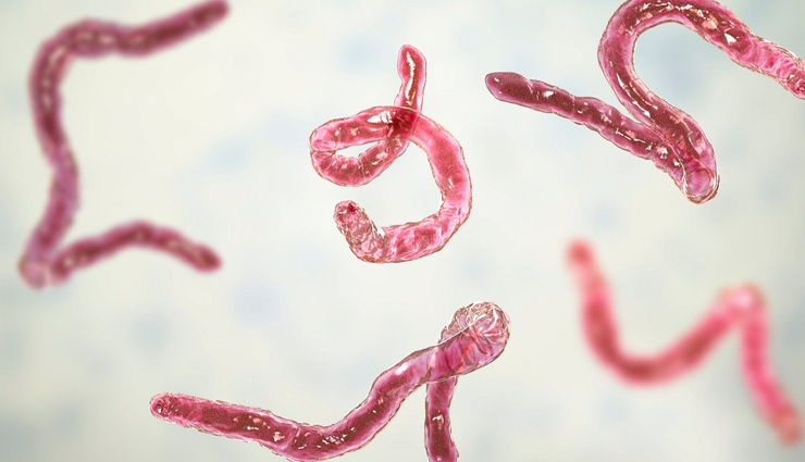 soursop,health benefits of soursop,Health tips,fitness tips