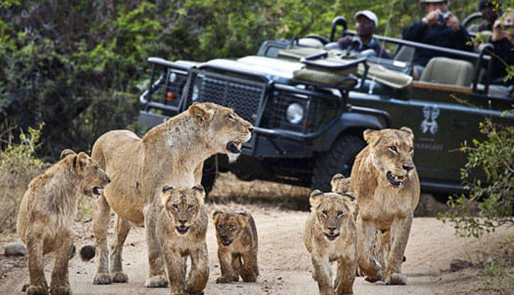 Reasons You Must Visit South Africa