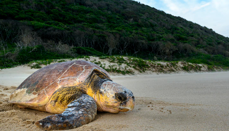 south africa,tourist attractions in south africa,places to visit in south africa,cape town,kruger national park,the garden route,stellenbosch,drakensberg,isimangaliso wetland park,pilanesberg national park