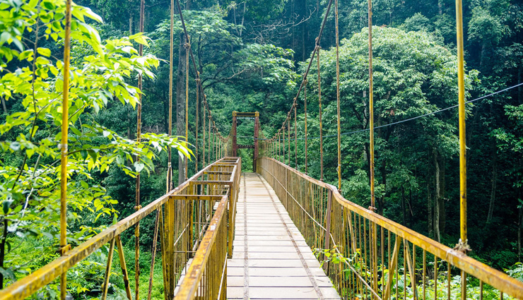 places to visit in south india,south india,places to visit in india,india,alleppey,coorg,kabini,kodaikanal,wayanad,agumbe