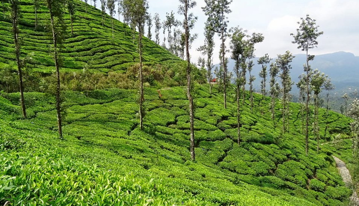 south india,places to visit in south india,places in south india in august,athirappally,chikmagalur,wayanad,kumarakom,kanyakumari