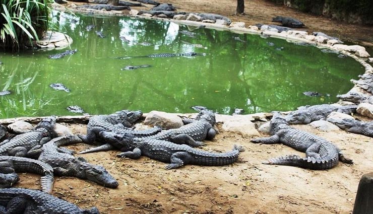 south india travel destinations,beautiful places in south india,must-visit spots in south india,south india tourist attractions,south india travel gems,hidden treasures of south india,south india vacation spots,enchanting places in south india,south india travel experiences,south india tourist circuits