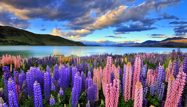 best travel destinations 2024,top places to visit in 2024,must-see tourist spots 2024,popular travel destinations 2024,dream vacation spots 2024,travel bucket list 2024