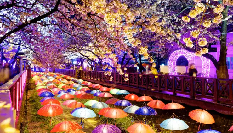 5 Things You Can Enjoy Doing in South Korea