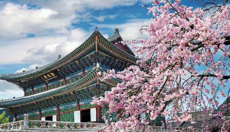 spring destinations around the world,international spring travel spots,japan cherry blossoms spring,netherlands tulip fields spring,washington d.c. cherry blossom festival,south korea spring blossom festival,switzerland springtime beauty,best places to visit in spring,spring travel experiences worldwide,top spring destinations for nature lovers