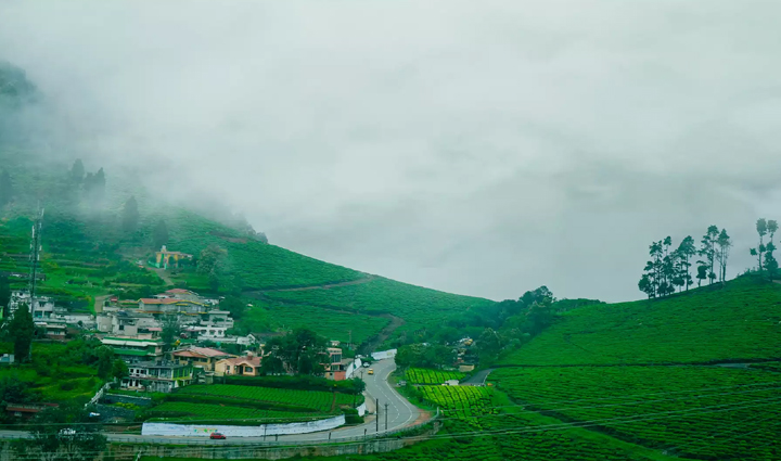 romantic places for honeymoon in south india,holiday,travel,tourism