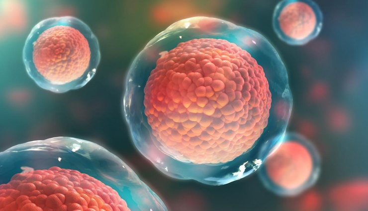 soy milk,health benefits of soy milk,Health tips,fitness tips