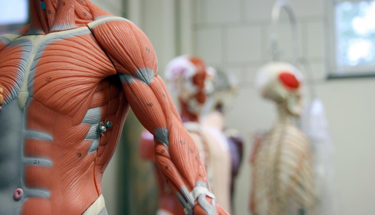 soy yogurt,health benefits of soy yogurt,Health tips,fitness tips