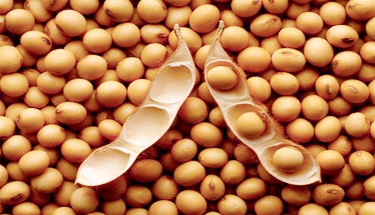 get rid of prostate cancer from these home remedies,health tips in hindi,health tips for prostate cancer