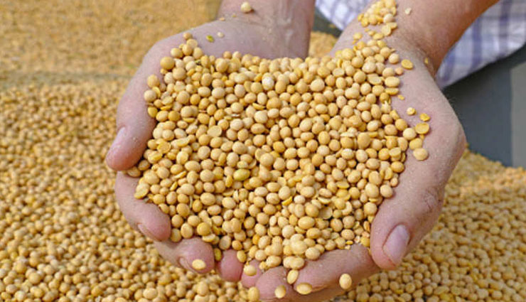 health benefits,health benefits of eating soyabean,soyabean,Health tips,fitness tips