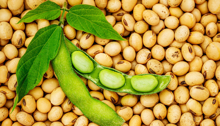 vegetables that are high in calcium,calcium,vegetables,Health,Health tips