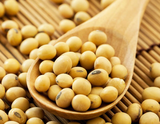 Soybeans Keeps Your Digestion Proper. Read More Benefits