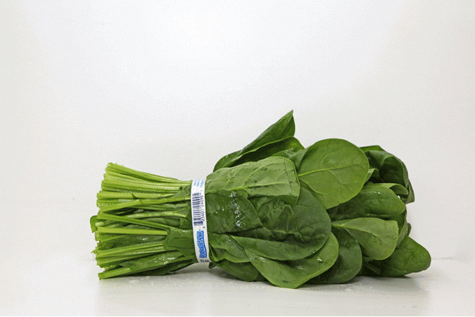 कच्चा पालक खाने के इन 5 फायदों को शायद ही आप जानतें होंगे raw spanich,eating raw spanich,health benefits of raw spanich,Health tips