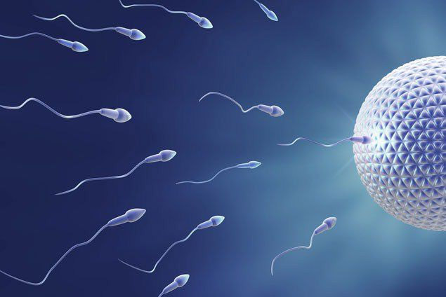 Health,men,disease,sperm,low sperm,Health tips,study