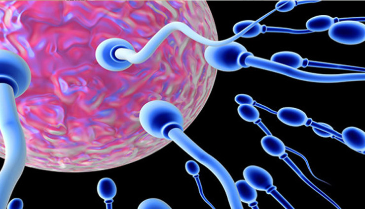 शोध से खुलासा : कम शुक्राणु वाले पुरुषों में बीमारी का खतरा अधिक