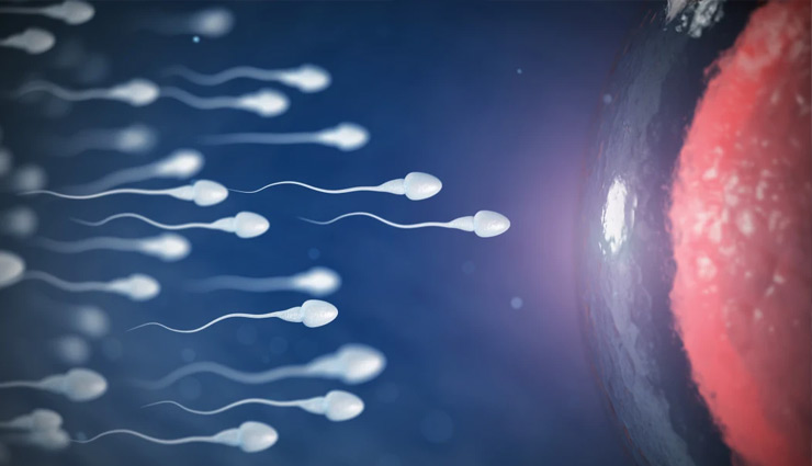 महिला चाहती थी स्मार्ट बच्चा, छ फीट लंबे आदमी से लिया स्पर्म लेकिन...