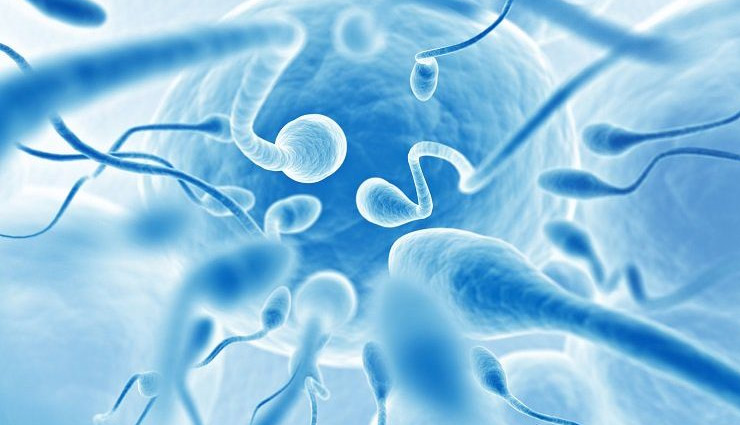 सेक्स लाइफ में एक्साइटमेंट घोल देंगे तुलसी के 2 पत्ते, जाने कैसे करें सेवन tulsi benefits for men sexual health,holy basil advantages for male sexual wellness,tulsi extract for sexual well-being in men,ayurvedic benefits of tulsi for men sexuality,using tulsi to enhance male sexual health,holy basil impact on men reproductive health,tulsi leaves and their effects on male sexuality,natural remedies with tulsi for men sexual wellness,ayurveda and tulsi for improving men sexual health,holy basil and male reproductive system benefits