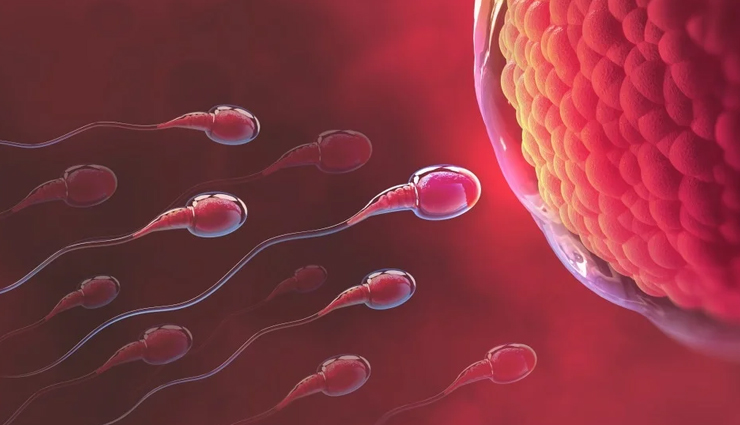 male infertility causes,treatment for male infertility,male infertility solutions,male infertility factors,understanding male infertility,male infertility diagnosis,male infertility management,male fertility issues,male infertility treatments,coping with male infertility