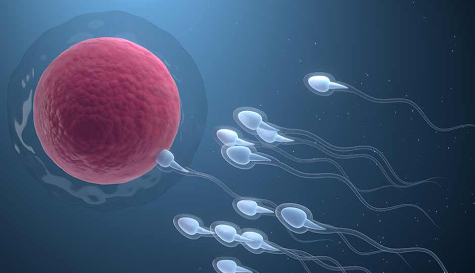 15 Home Remedies To Improve Sperm Count