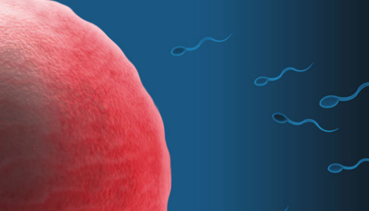 वैज्ञानिकों ने माना भविष्य में बच्चा पैदा करने के लिए नहीं होगी मां की जरूरत baby born,baby health,baby born without mother,in-vitro gametogenesis