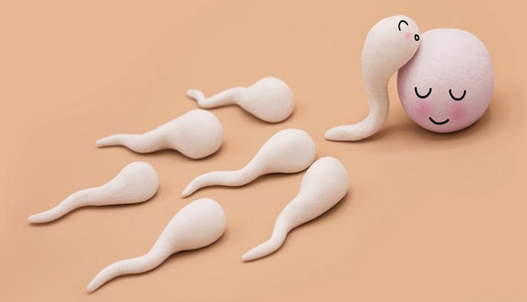 ये 3 आहार बनते हैं आपके बाप बनने में रूकावट, स्पर्म क्वालिटी को पहुंचाते हैं नुकसान