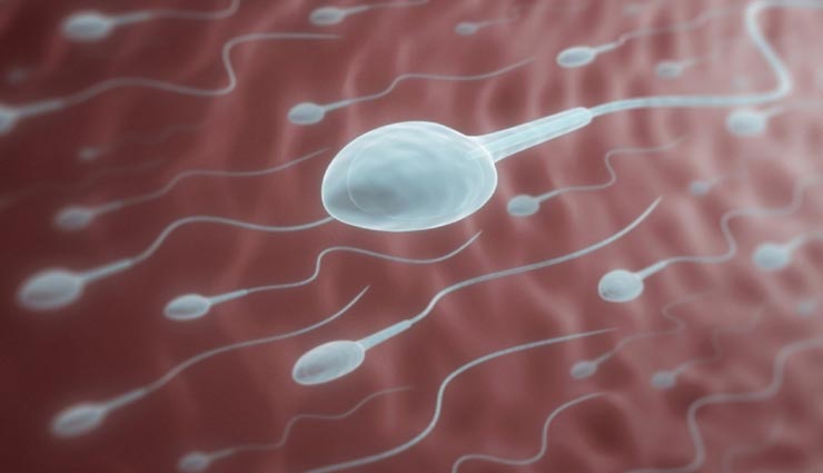 आपको बाप नहीं बनने दे रहे ये 3 आहार, स्पर्म क्वालिटी पर पड़ता हैं नकारात्मक प्रभाव Health tips,health tips in hindi,food known for sperm killing,men infertility,unhealthy food