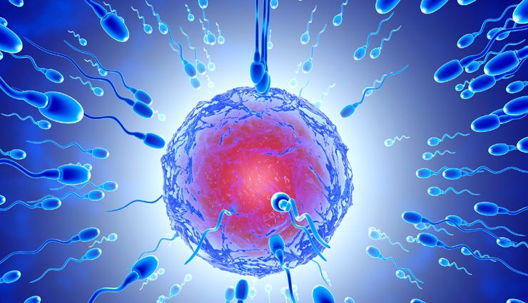 इन चीजों के सेवन से आप नहीं बन पाएंगे पापा, स्पर्म पर पड़ता है बुरा असर