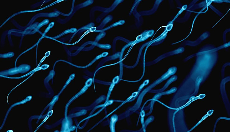 5 Unbelievable Benefits of Sperms