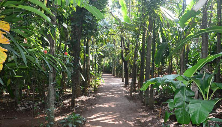 best things to do in goa with your partner,romantic activities in goa for couples,top couple-friendly attractions in goa,goa couple travel guide,romantic getaways in goa,must-visit places for couples in goa,ideal destinations for partners in goa,love-filled experiences in goa,couples retreats in goa,goa relationship vacation ideas