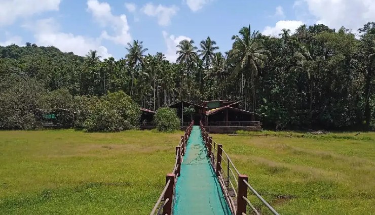 offbeat things to do in goa,hidden places in goa,unique experiences in goa,goa beyond beaches,non-touristy goa activities,goa travel guide,adventure in goa,goa cultural experiences,unexplored goa,alternative goa itinerary,goa local experiences