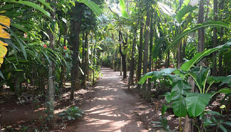 activities in goa,things to do in goa,goa adventure activities,goa water sports,goa tourist activities,goa beach activities,sightseeing in goa,goa nightlife experiences,cultural activities in goa,adventure sports in goa,best things to do in goa,leisure activities in goa,goa outdoor adventures,must-try activities in goa,goa tourist attractions and activities