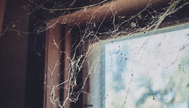 spider web in the house,stop spider web,spider web,home decor,household tips,eliminate spiders with natural homemade methods
