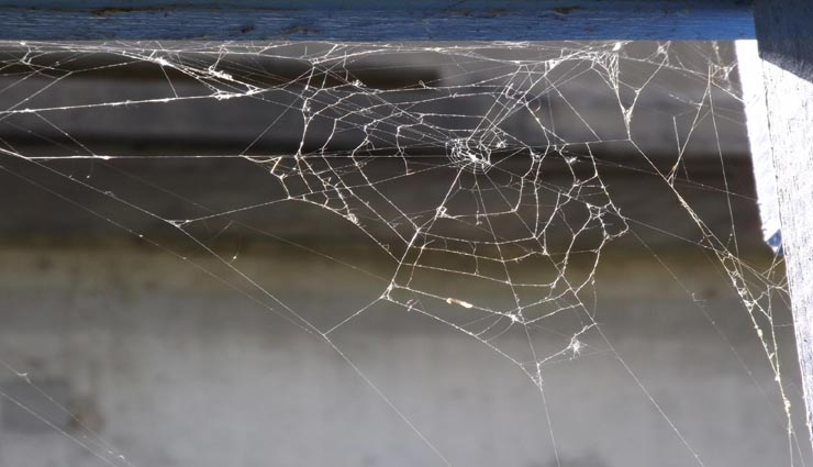 vastu tips,vastu tips in hindi,habits bring poverty