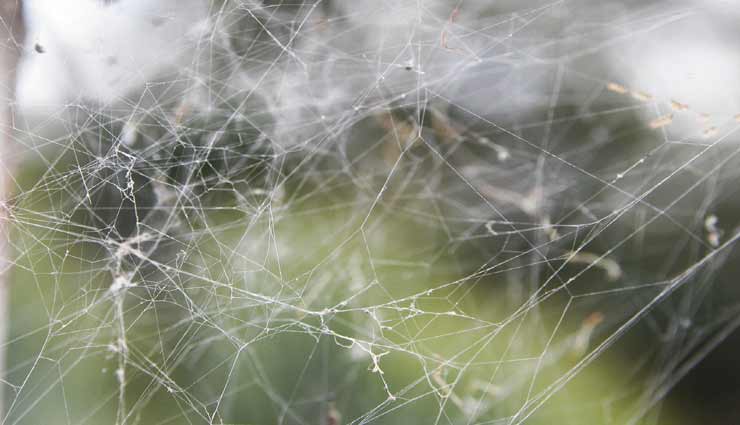 vastu tips,vastu tips in hindi,mental stress,lockdown