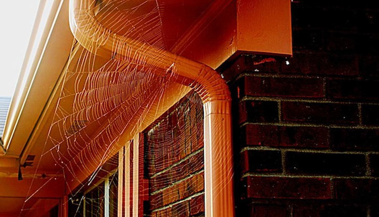 spider webs,tips to get rid of spider webs,spider in house,household tips,home decor tips ,हाउसहोल्ड टिप्स, होम डेकोर टिप्स, घर पर लगे मकड़ी के जाले साफ़ करें ऐसे 
