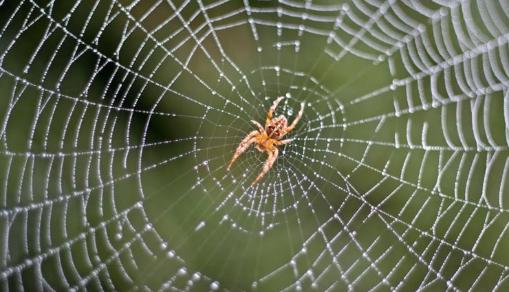 weird things in life,true and shocking things in life,facts of life