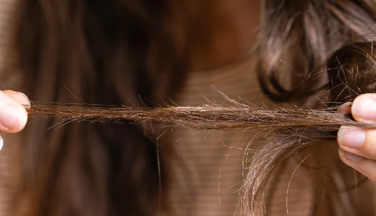 signs you need a haircut,time for a trim,hair damage signs,split ends remedy,when to cut hair,haircut tips,healthy hair maintenance,dry frizzy hair fix,hair breakage signs,manage wild hair