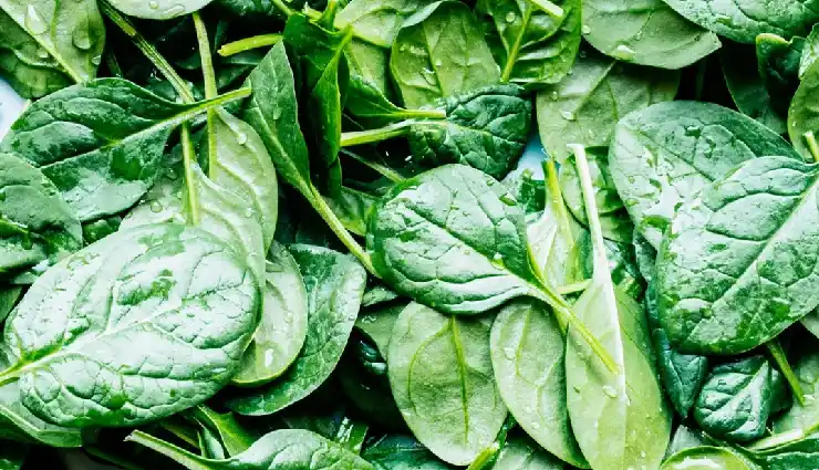 best foods for married men,diet for married men,boost testosterone naturally,increase stamina for men,fertility boosting foods,men’s health diet tips,foods for better performance,healthy diet for men,improve blood circulation naturally,energy boosting foods for men