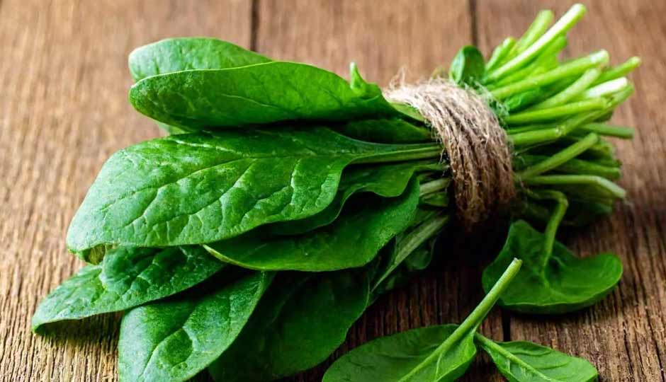 16 Amazing Benefits of Spinach for Skin and Hair