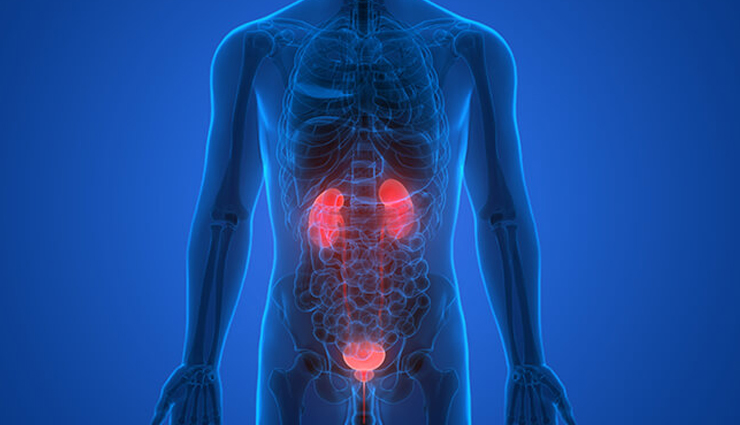 spinach for babies,health benefits of spinach,Health tips,fitness tips