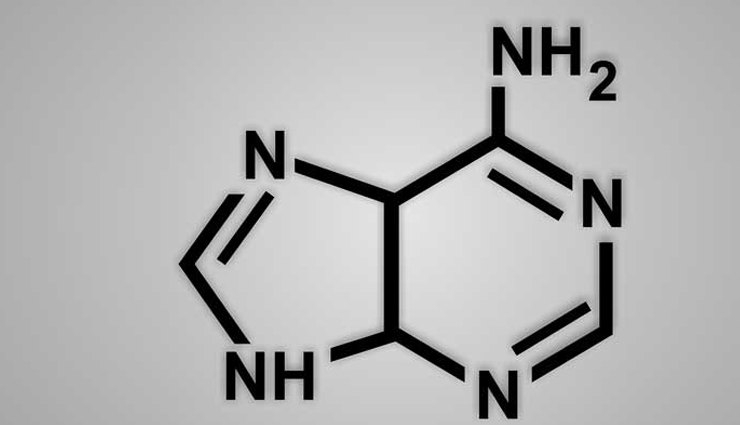 spinach,side effects of eating spinach,Health tips,fitness tips