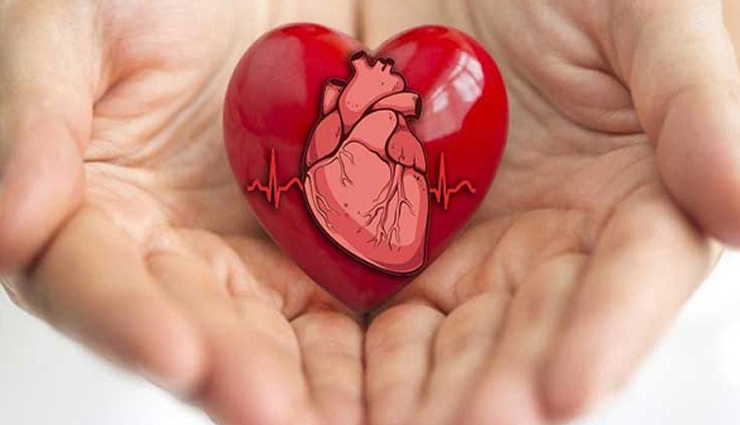 spinach juice,health benefits of spinach juice,Health tips,fitness tips