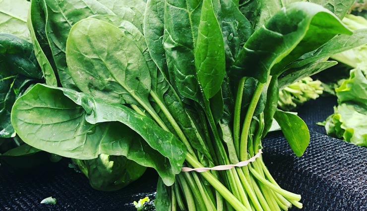 11 magnesium rich veggies to add in your diet,Health,healthy living