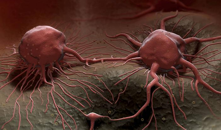 spinach is rich in dietary elements there are many benefits of eating it,Health,healthy living,health news in hindi