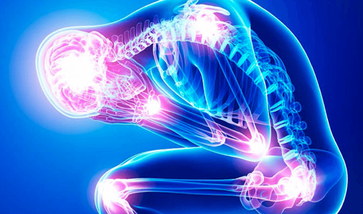 spinach is rich in dietary elements there are many benefits of eating it,Health,healthy living,health news in hindi