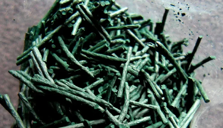 protein for weight loss,daily protein intake,best protein-rich foods,protein metabolism boost,plant-based protein for weight loss,muscle building foods,lean muscle gain,rapid fat loss tips,high protein diet,weight loss nutrition