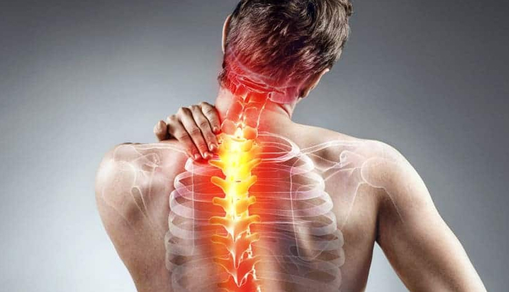 spirulina,spirulina for weight loss,health benefits of spirulina,Health tips,fitness tips