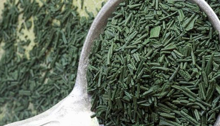 spirulina,spirulina health benefits,spirulina benefits,benefits of spirulina,Health,Health tips