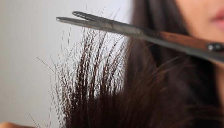 split ends,home remedies,home remedies for split ends,hair care tips,skin care tips,beauty tips